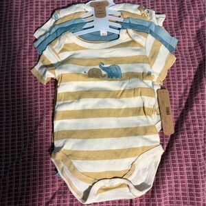 Striped Baby Onesies with Dinosaur Design